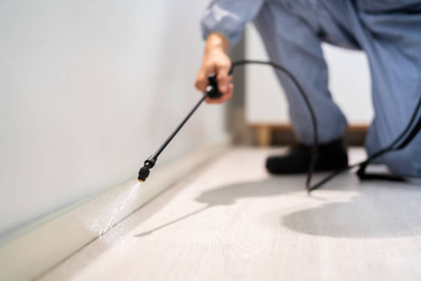 Bed Bug Pre-Treatment Preparation Assessment in Quail Creek