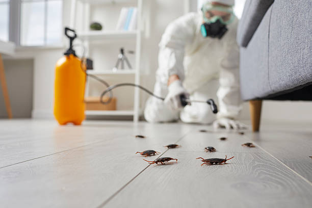 Post-Treatment Bed Bug Interceptor Monitoring in Quail Creek