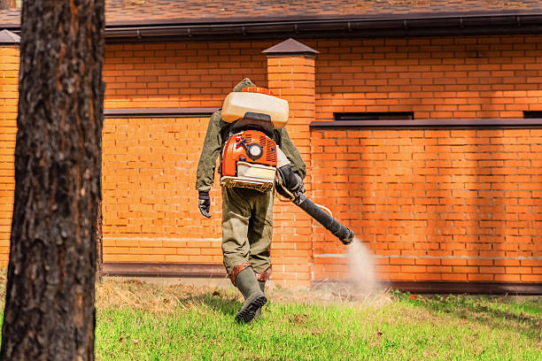 Bed Bug Clearance Verification and Documentation in Quail Creek